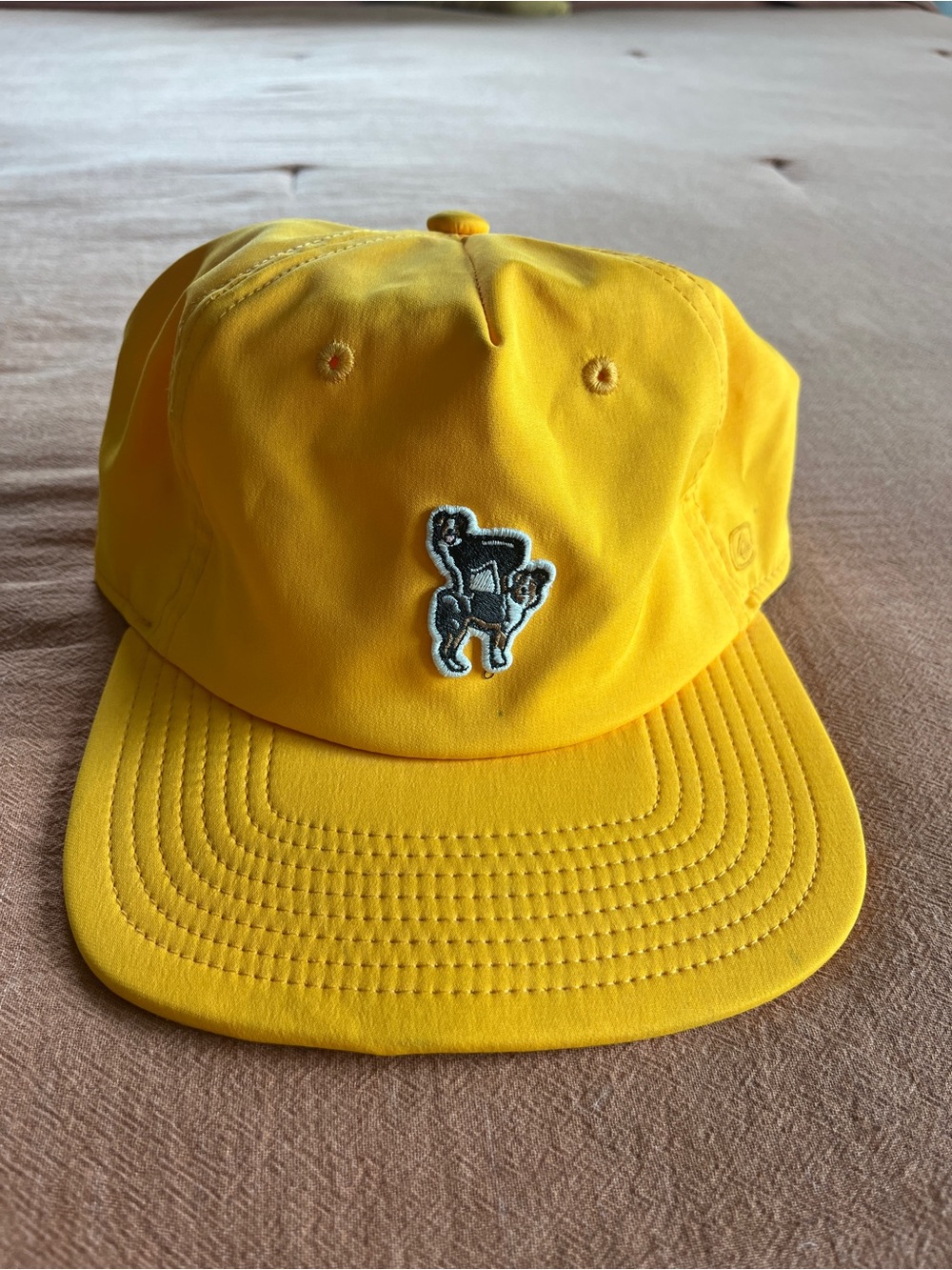 Coal Border Collie Hat